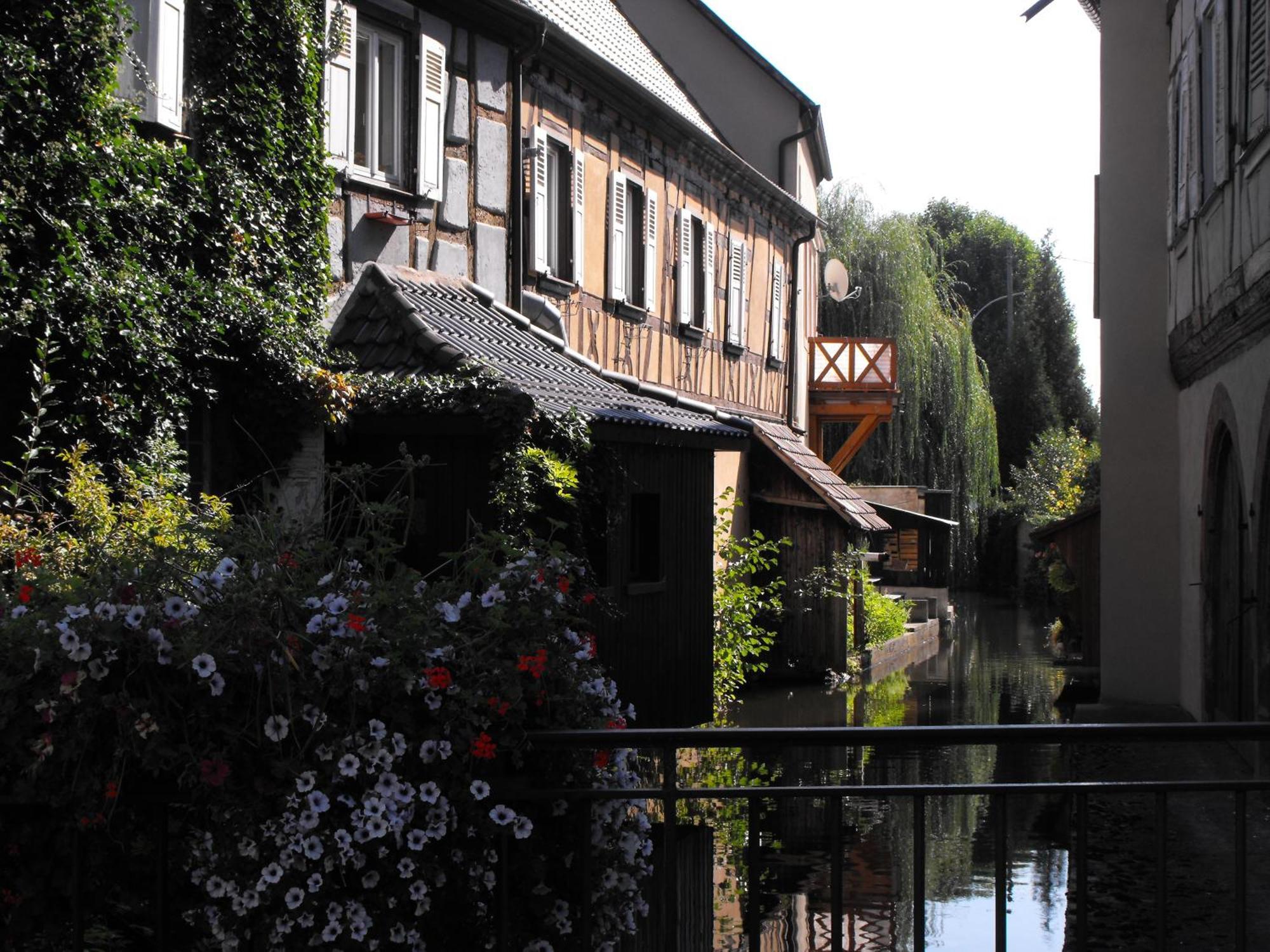 Hotel D'Alsace Wissembourg Esterno foto